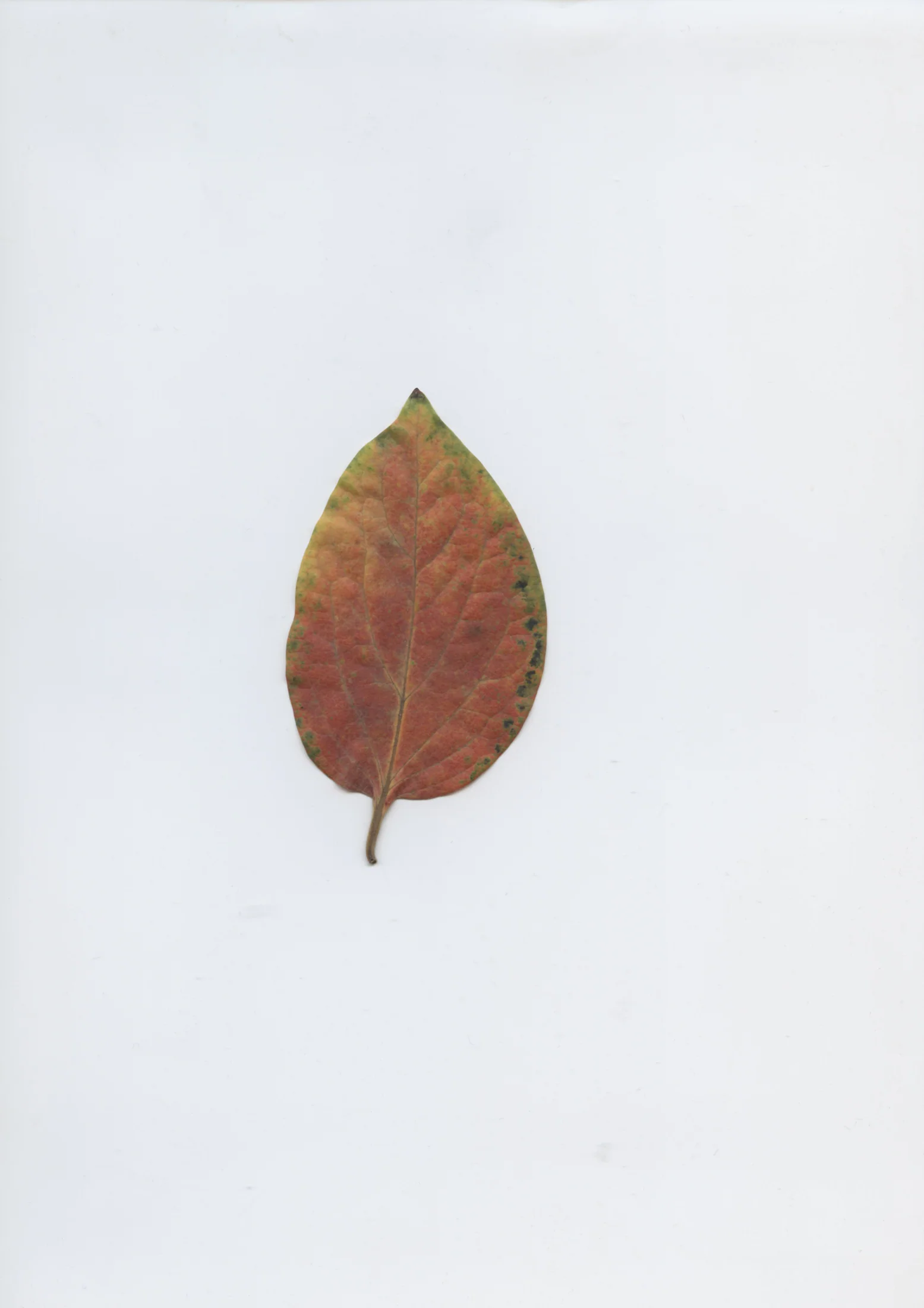 cAn yOu hEAr mE, 2020 — documentation image 02