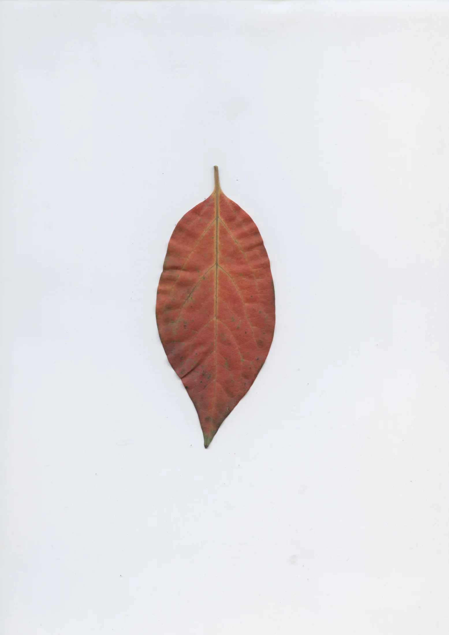cAn yOu hEAr mE, 2020 — documentation image 03
