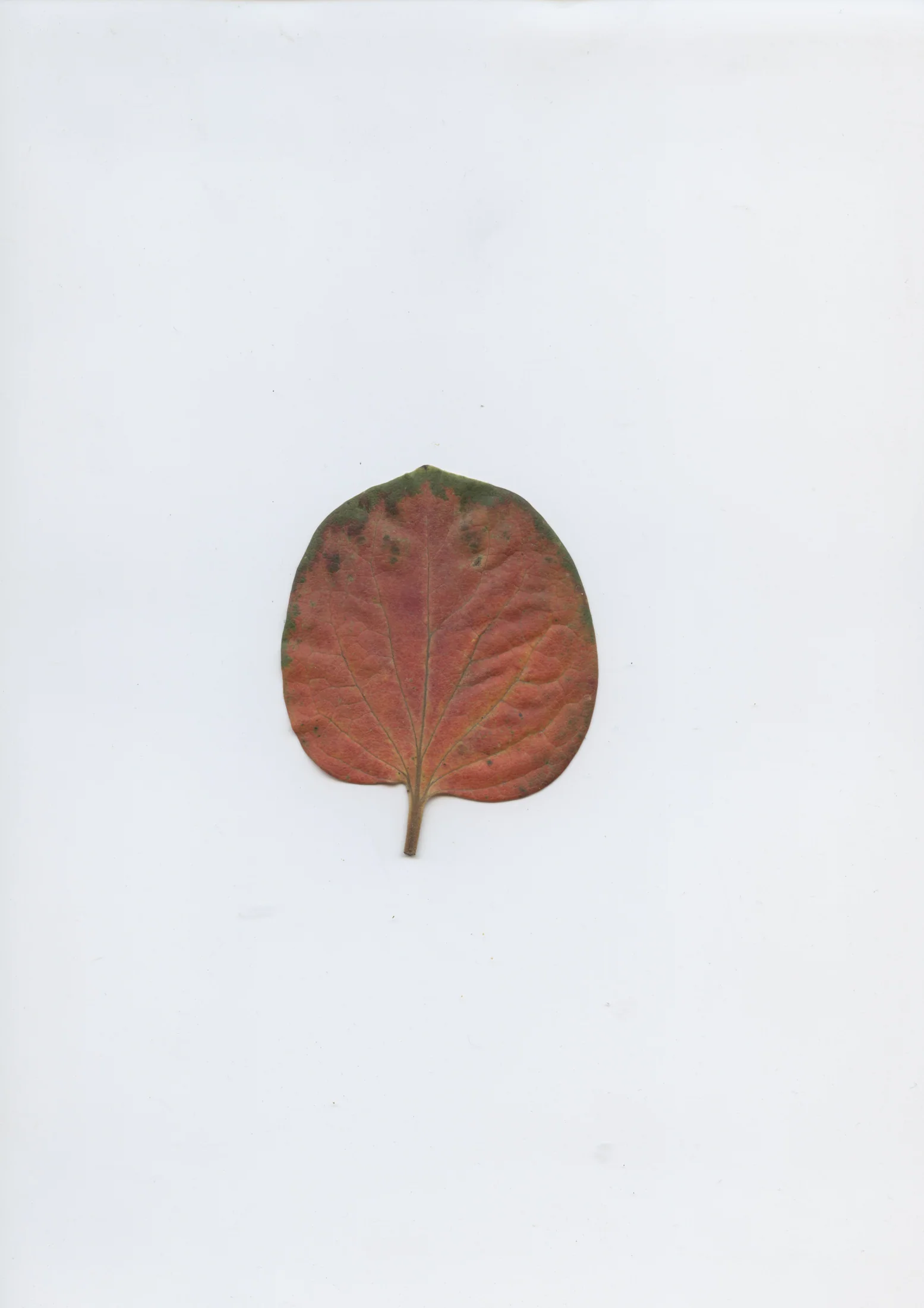 cAn yOu hEAr mE, 2020 — documentation image 04