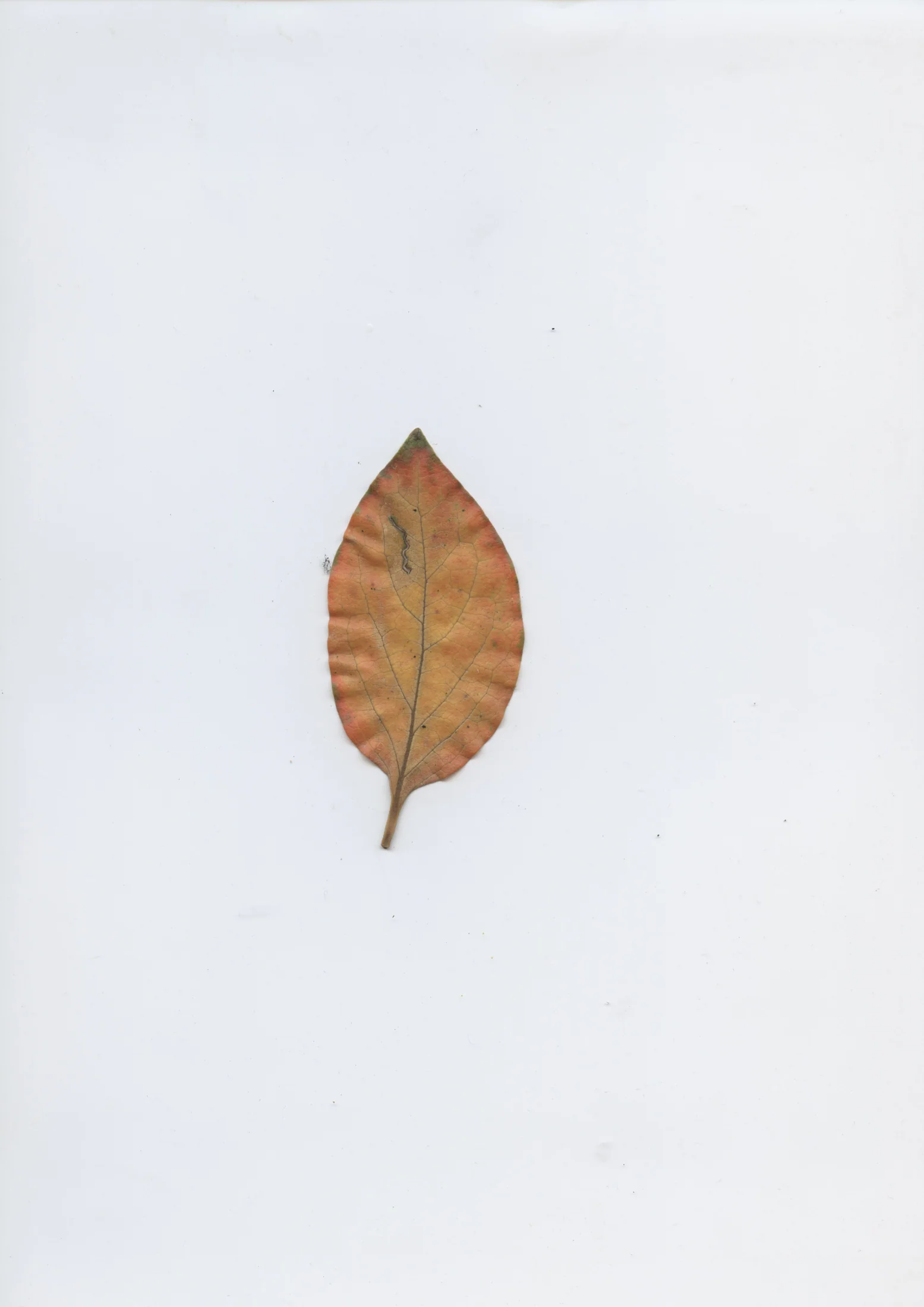 cAn yOu hEAr mE, 2020 — documentation image 08