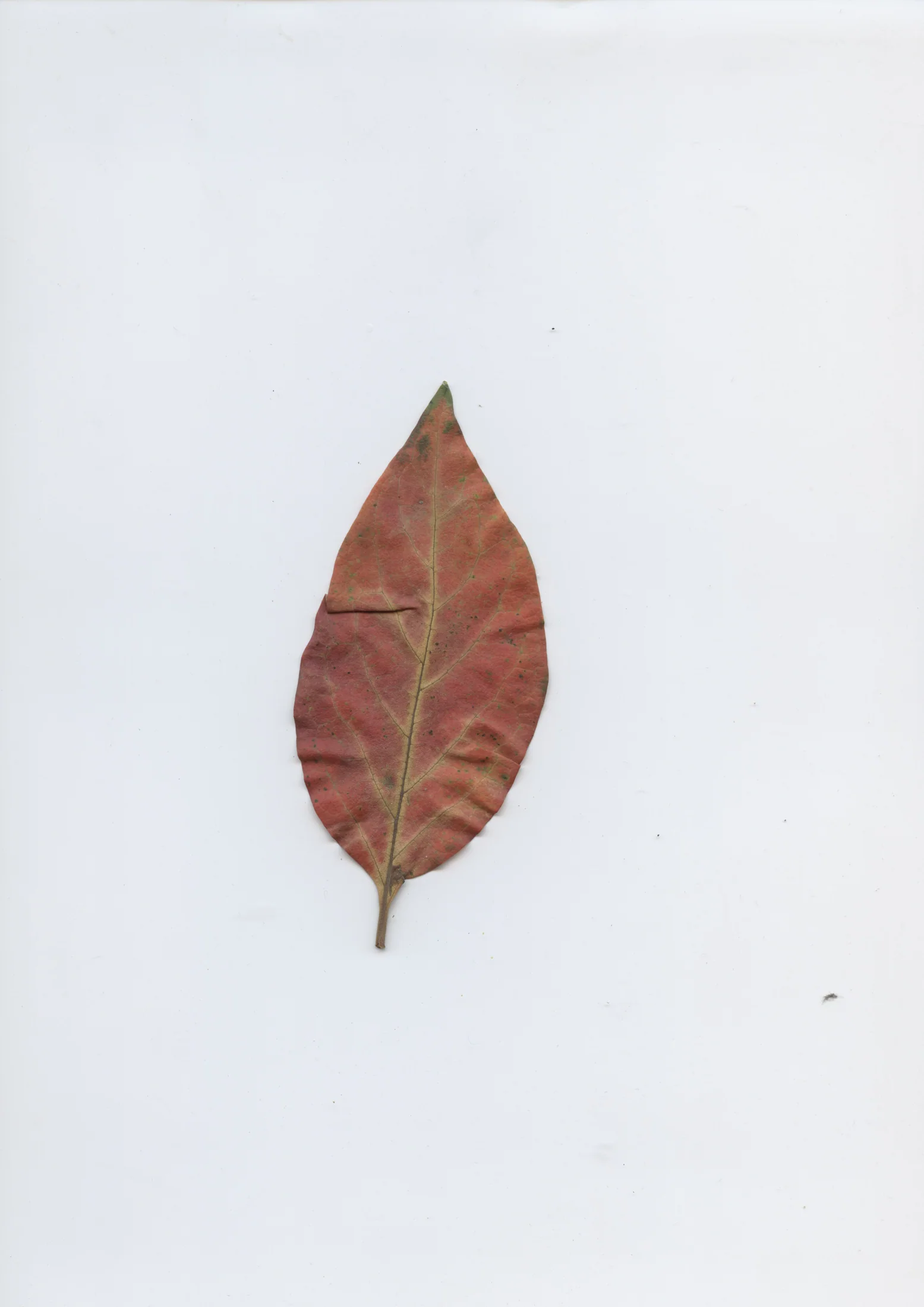 cAn yOu hEAr mE, 2020 — documentation image 09