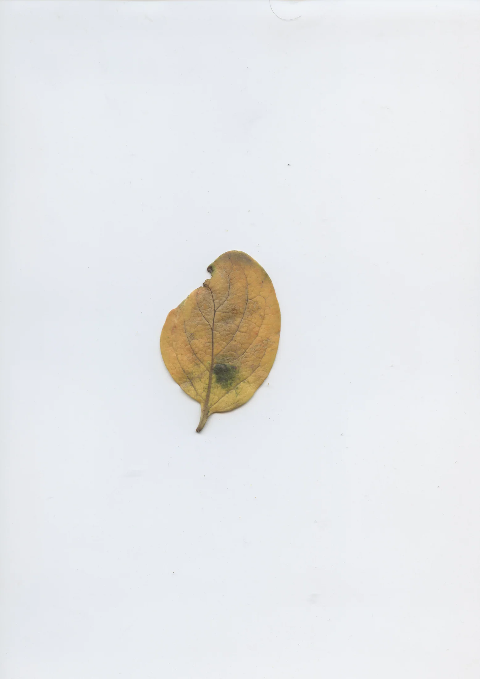 cAn yOu hEAr mE, 2020 — documentation image 12