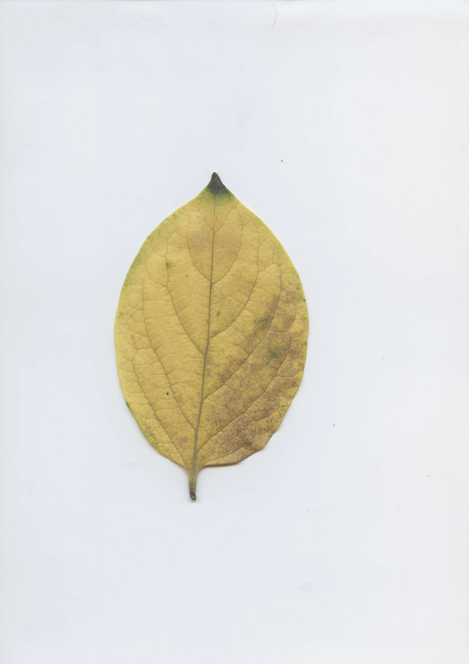 cAn yOu hEAr mE, 2020 — documentation image 13