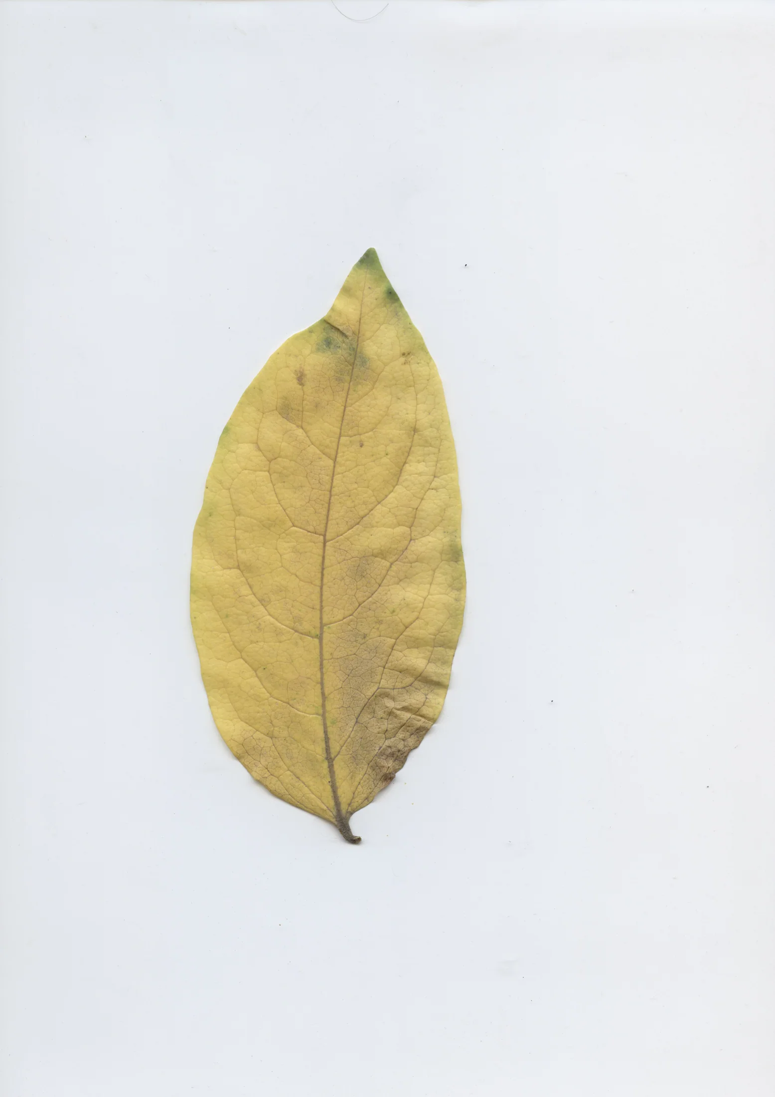 cAn yOu hEAr mE, 2020 — documentation image 14