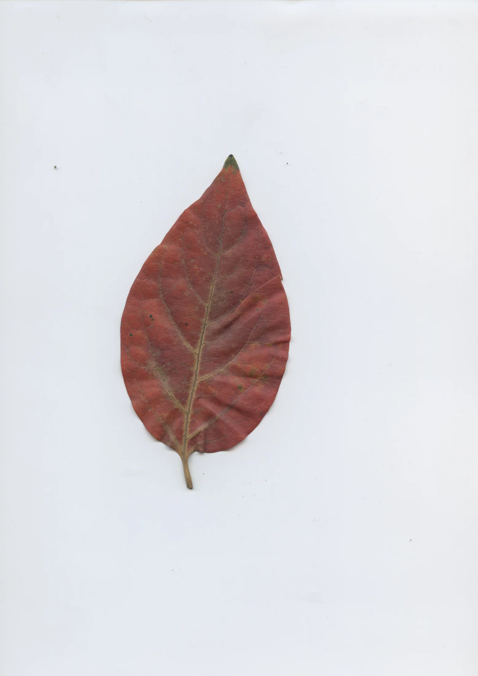 cAn yOu hEAr mE, 2020 — documentation image 17