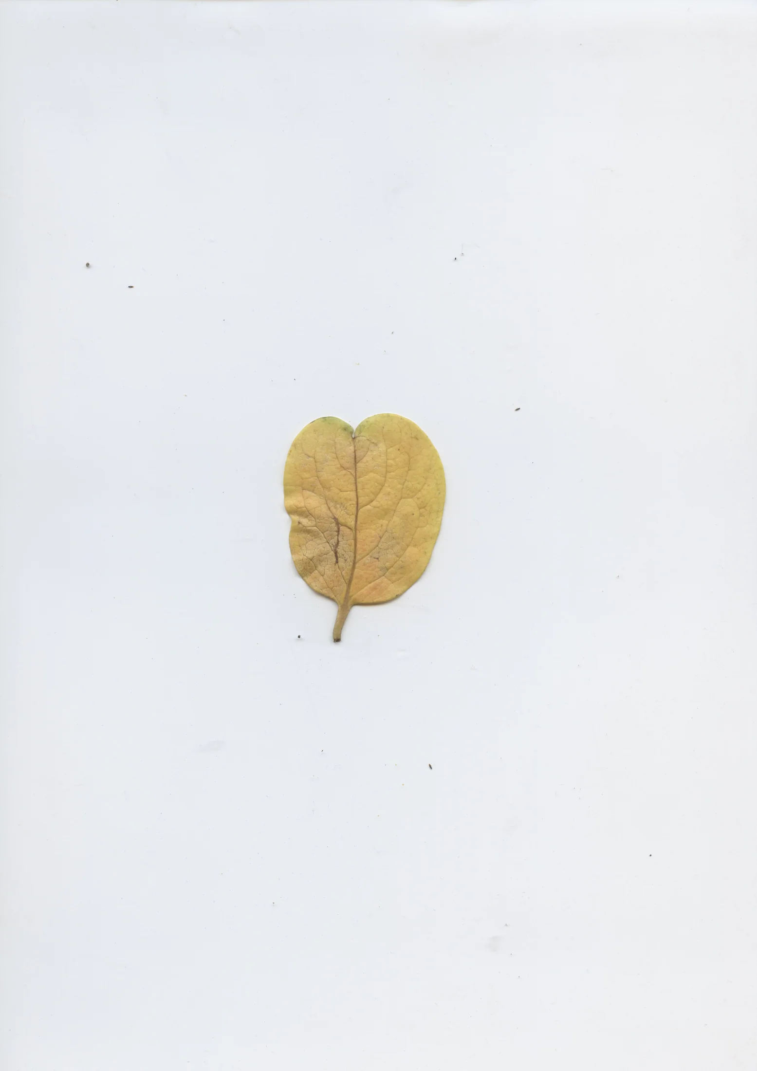 cAn yOu hEAr mE, 2020 — documentation image 23