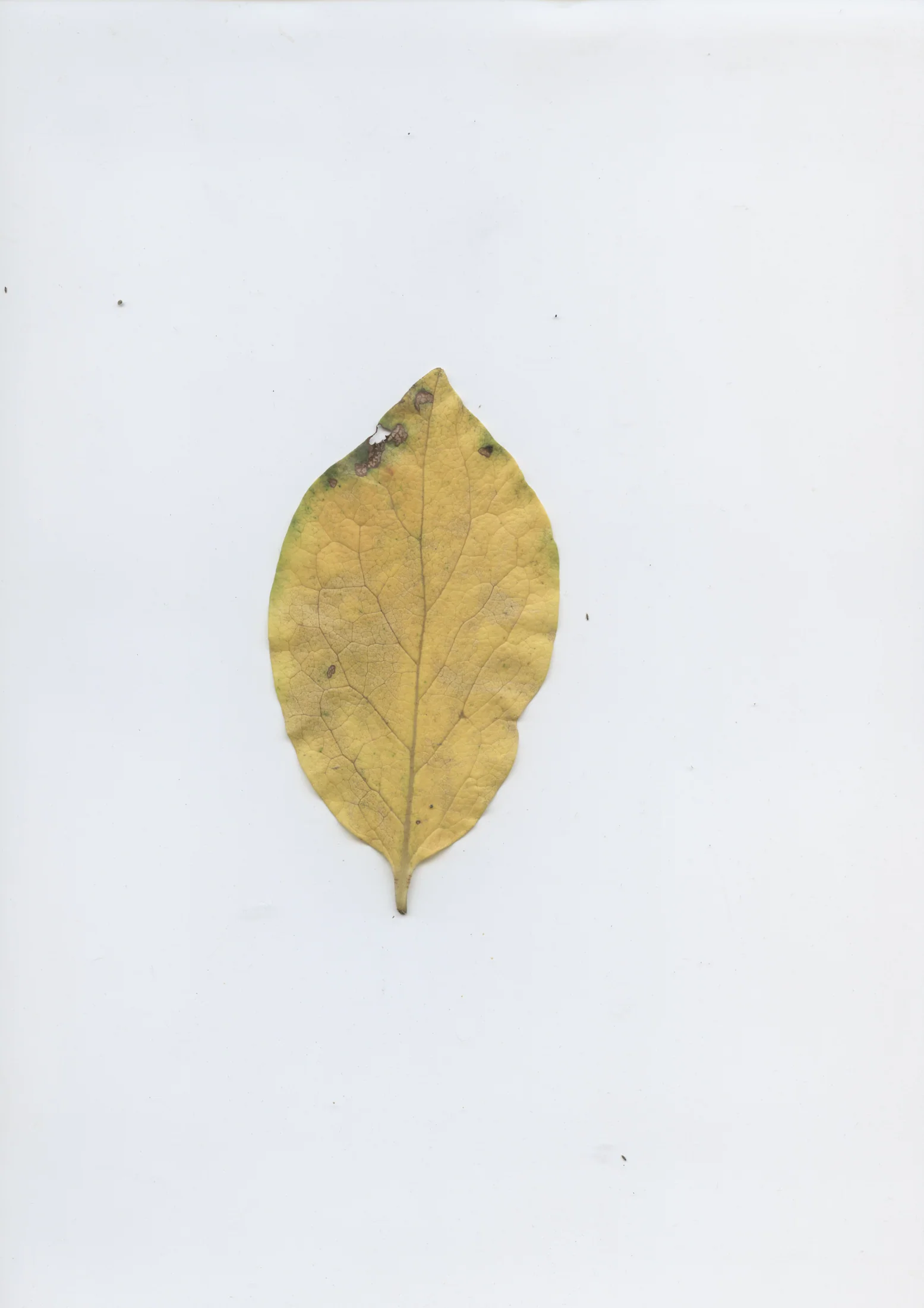 cAn yOu hEAr mE, 2020 — documentation image 24