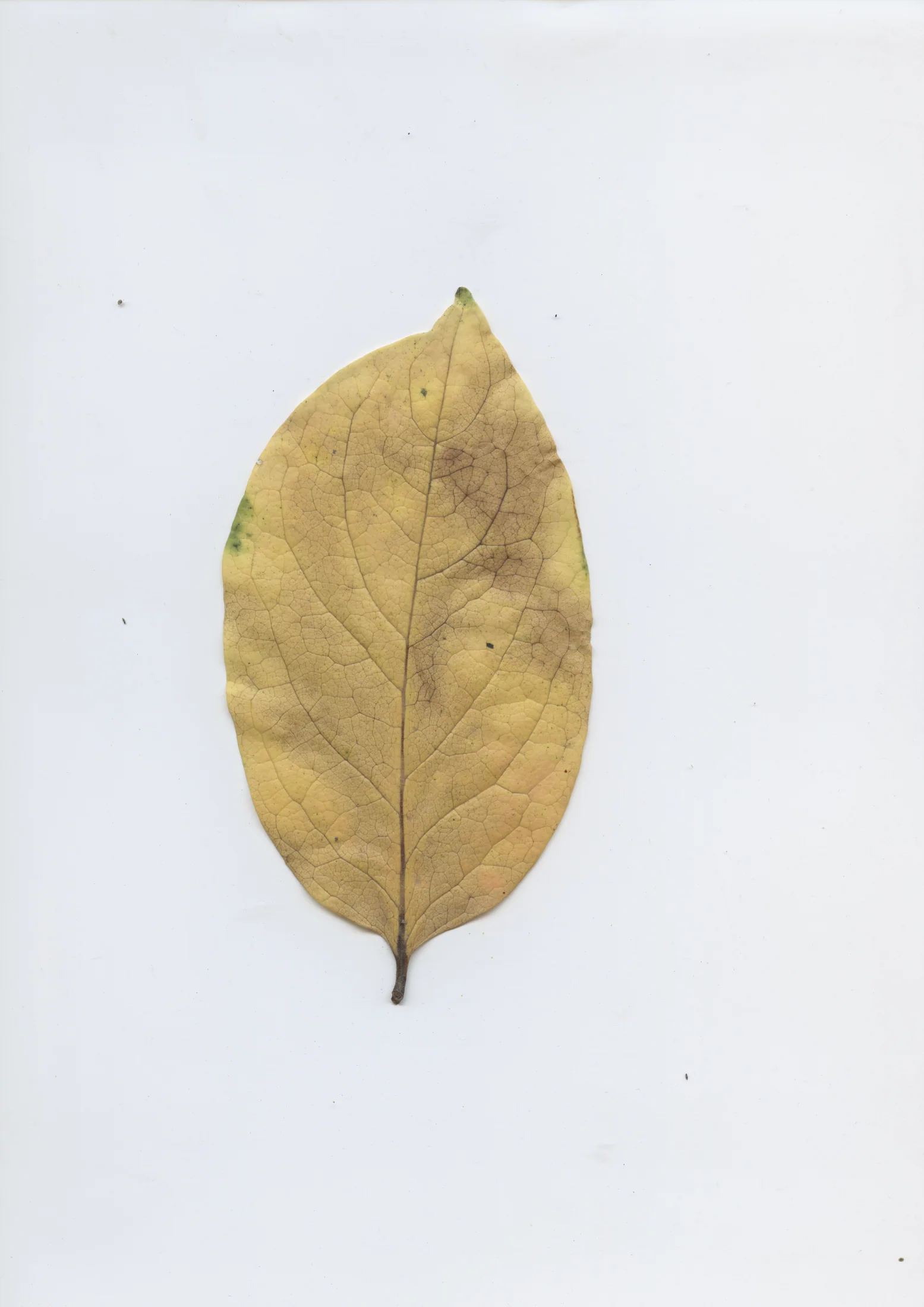 cAn yOu hEAr mE, 2020 — documentation image 25