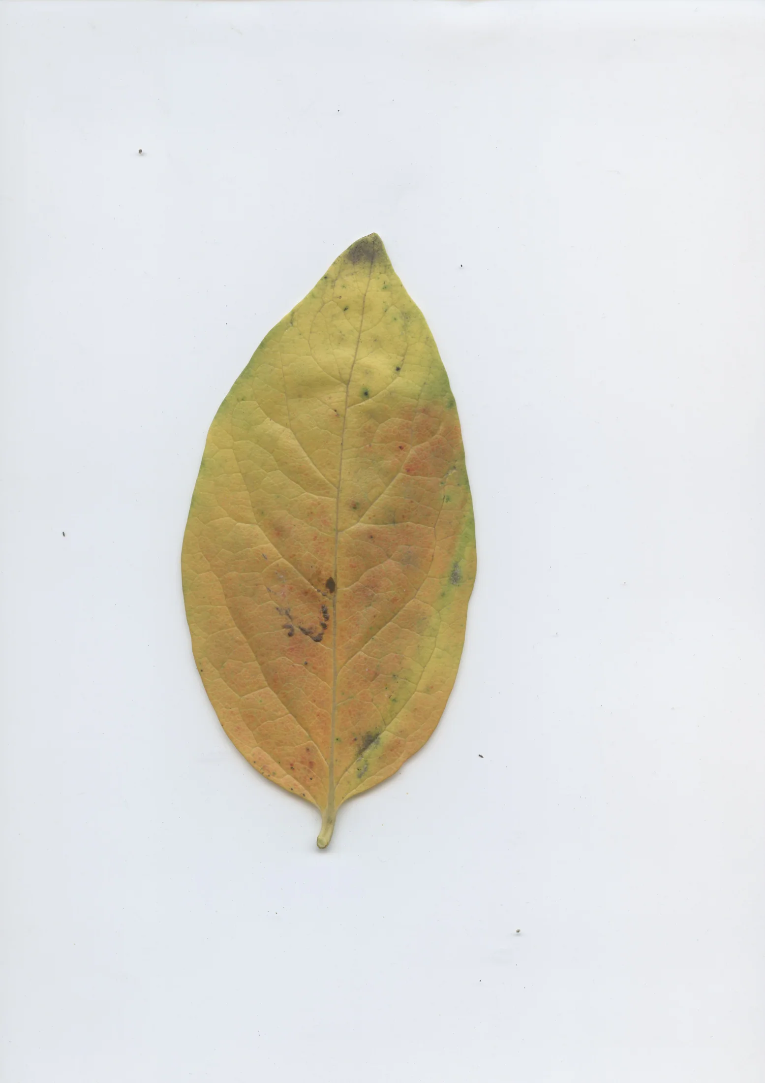 cAn yOu hEAr mE, 2020 — documentation image 26
