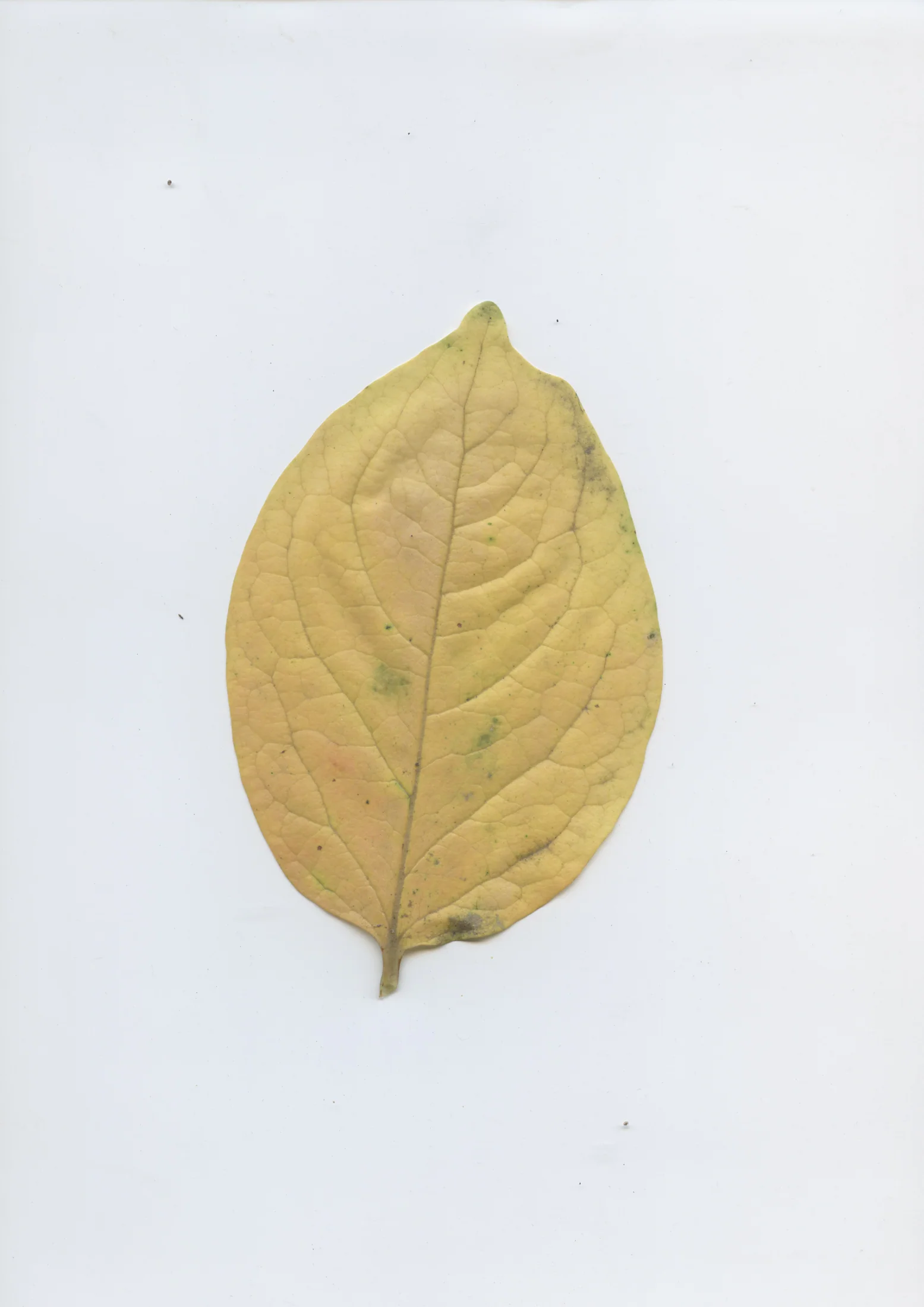 cAn yOu hEAr mE, 2020 — documentation image 27