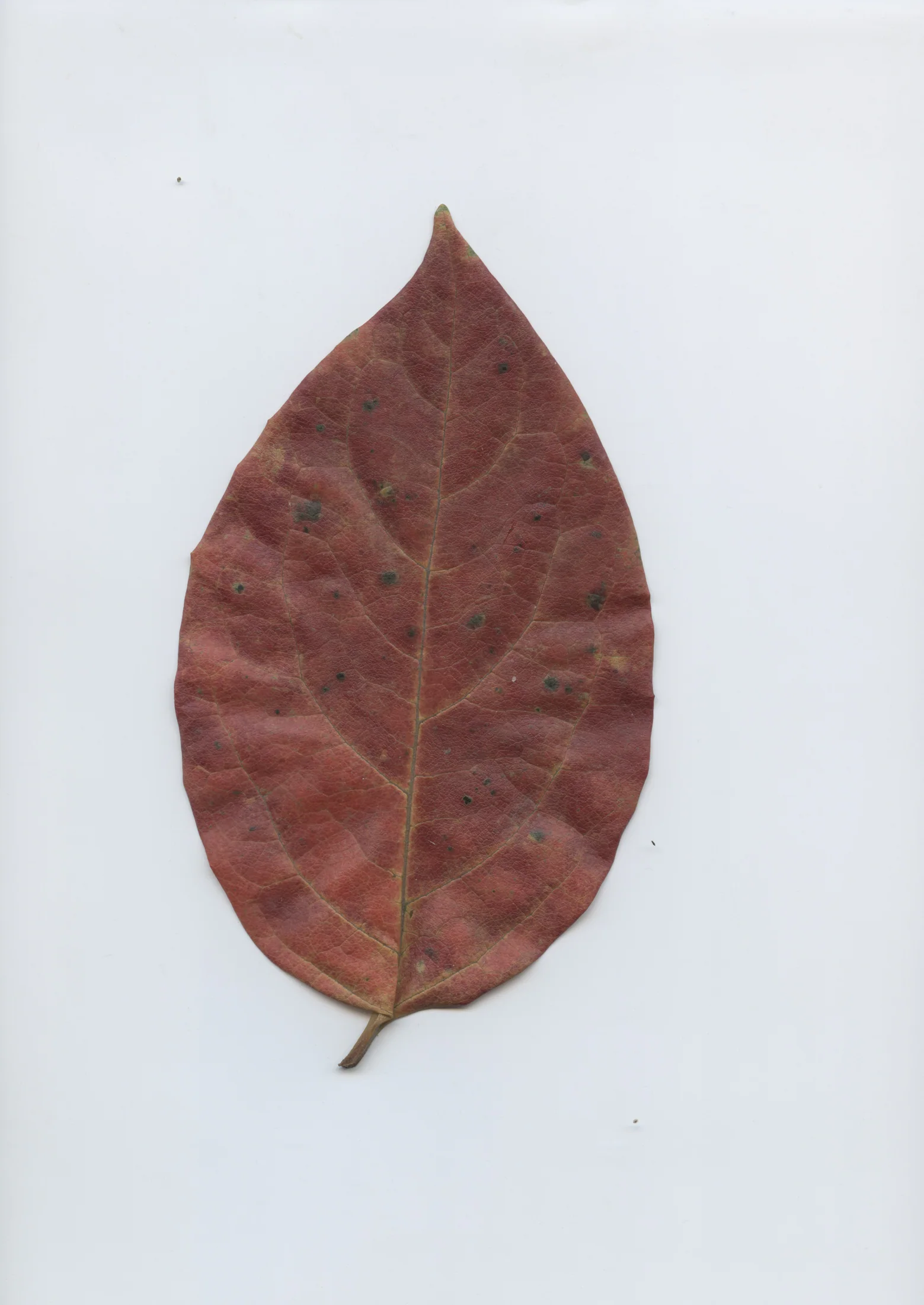 cAn yOu hEAr mE, 2020 — documentation image 39