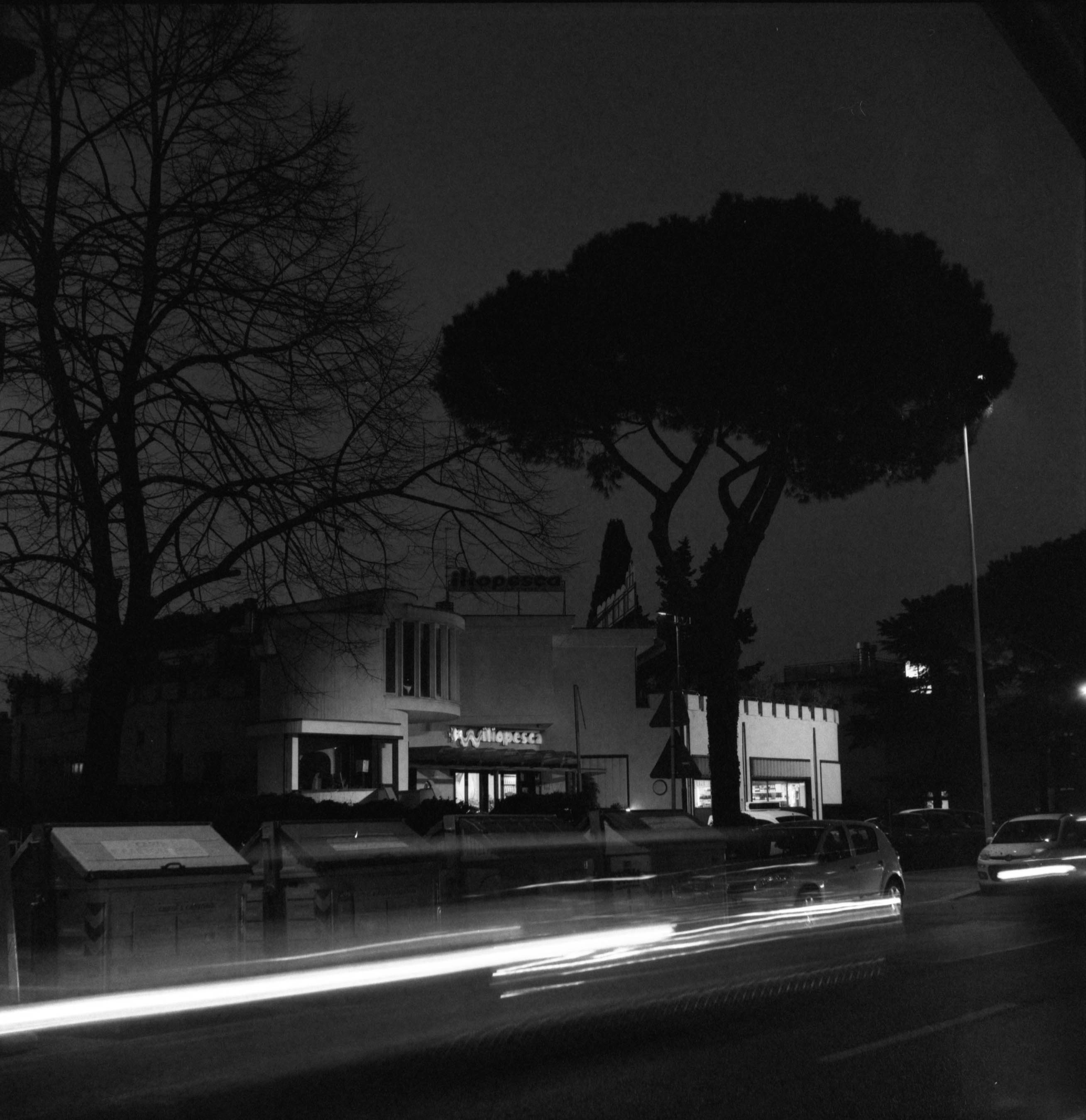 Italian Portraits photograph 20