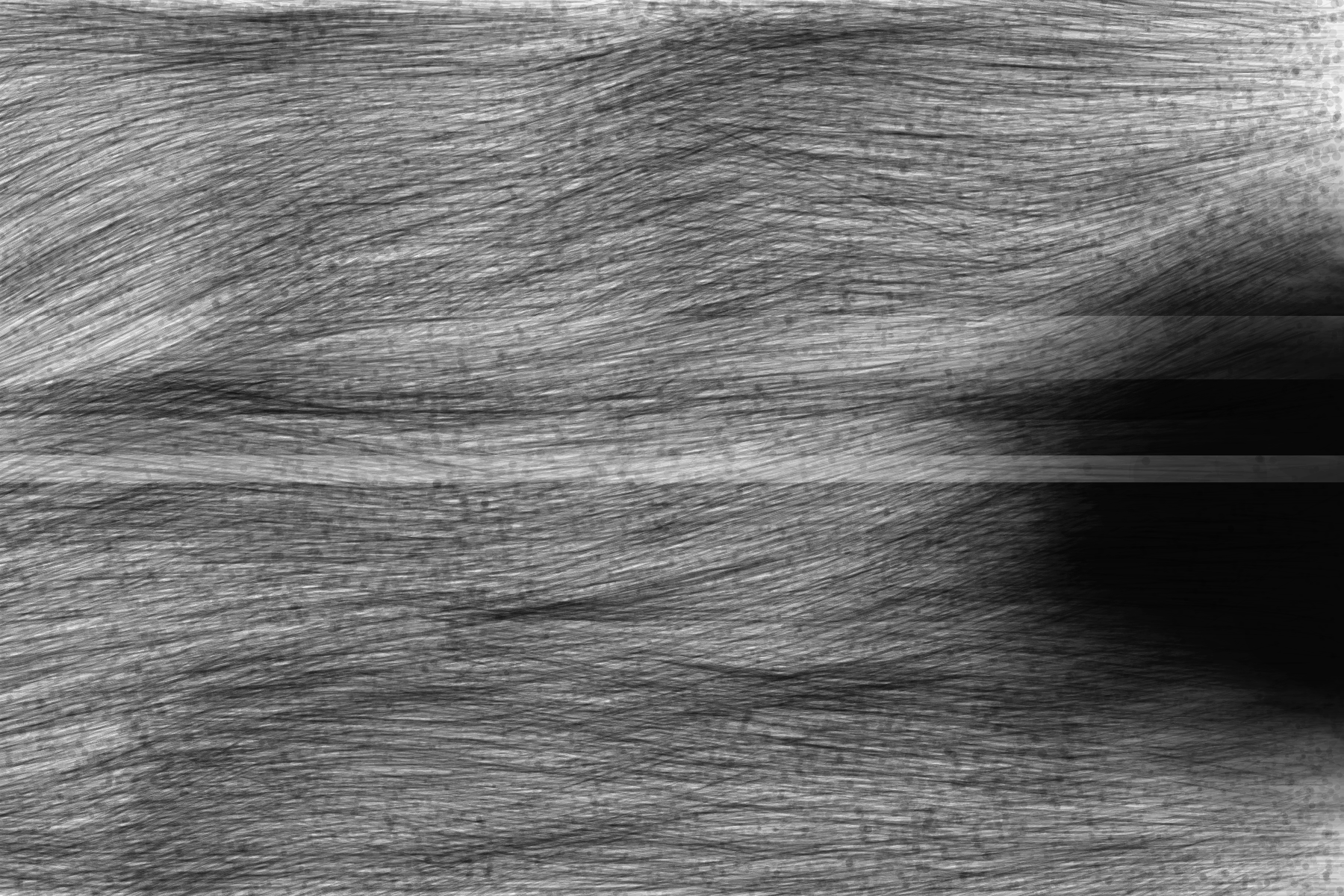 Typhoon Archive, 2026 — generative image 04