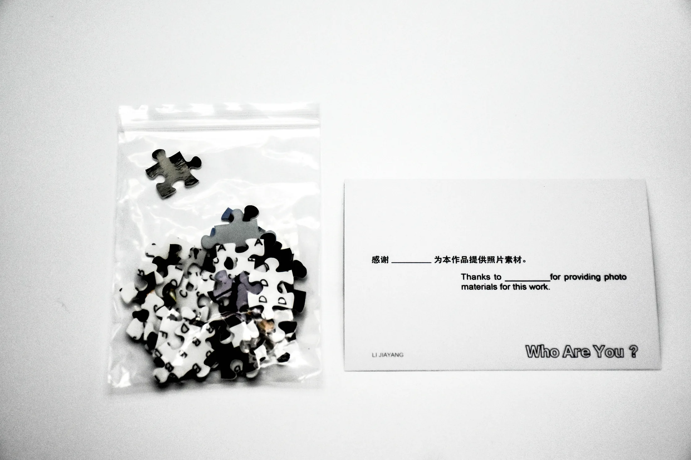 Who Are You?, 2020 — documentation image 01