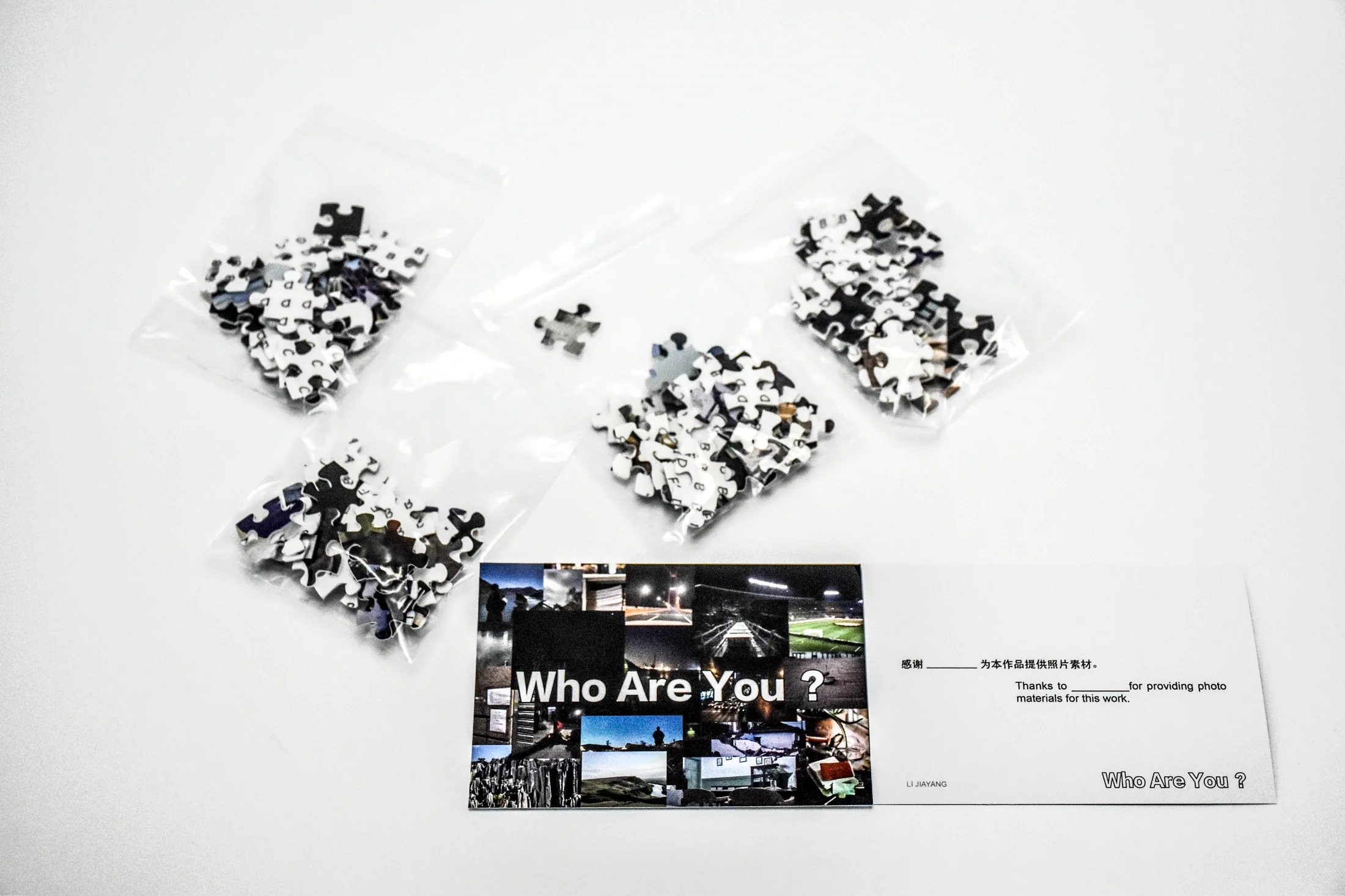 Who Are You?, 2020 — documentation image 04